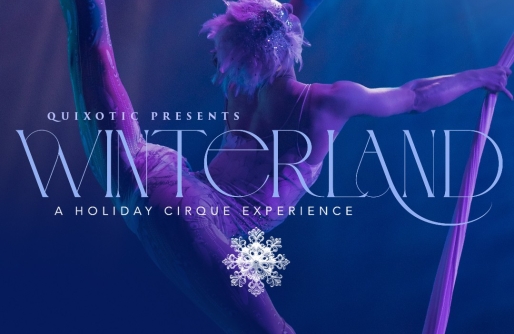 Winterland Ballerina 