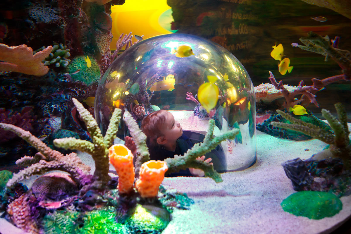 Legoland best sale aquarium hours