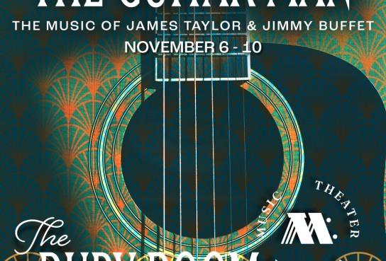 Guitar Handle with strings on teal and Orange Fan background